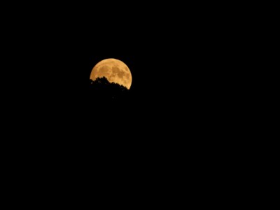 DSC2553 DxO