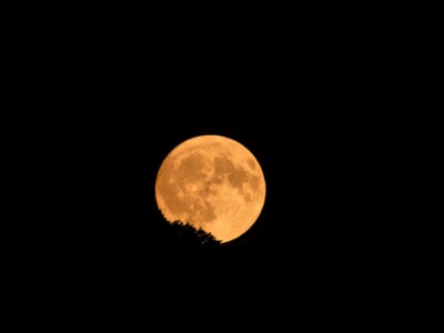 DSC2559 DxO