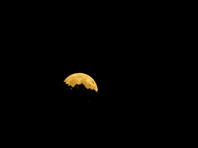 DSC2551 DxO