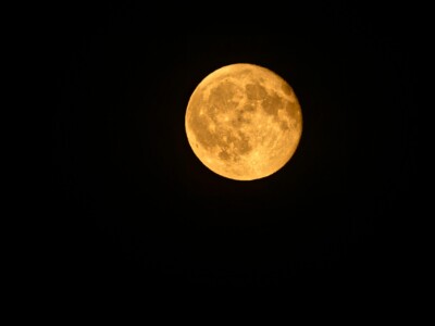 GZ8 3973 DxO